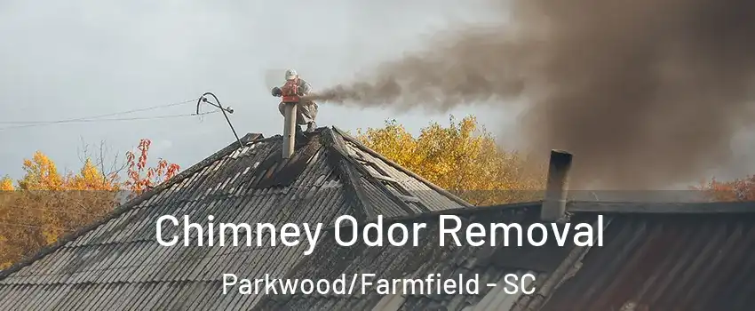 Chimney Odor Removal Parkwood/Farmfield - SC