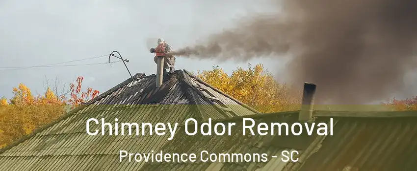 Chimney Odor Removal Providence Commons - SC