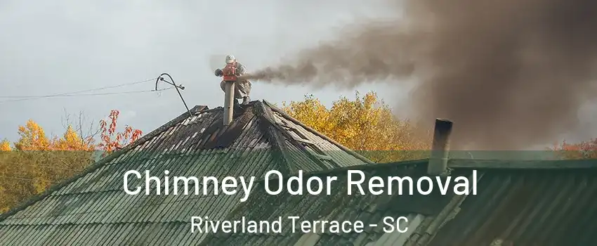 Chimney Odor Removal Riverland Terrace - SC