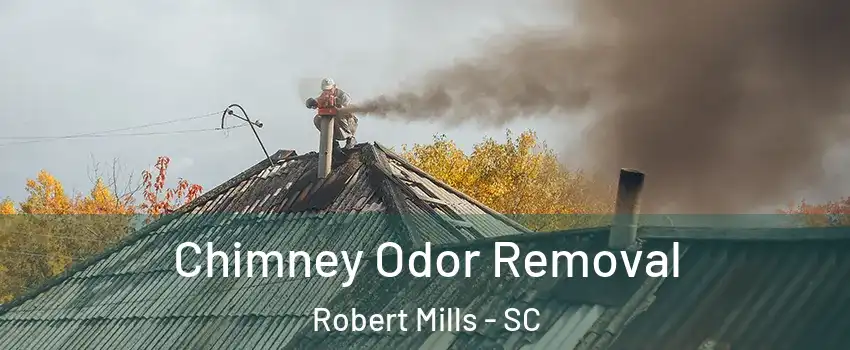 Chimney Odor Removal Robert Mills - SC