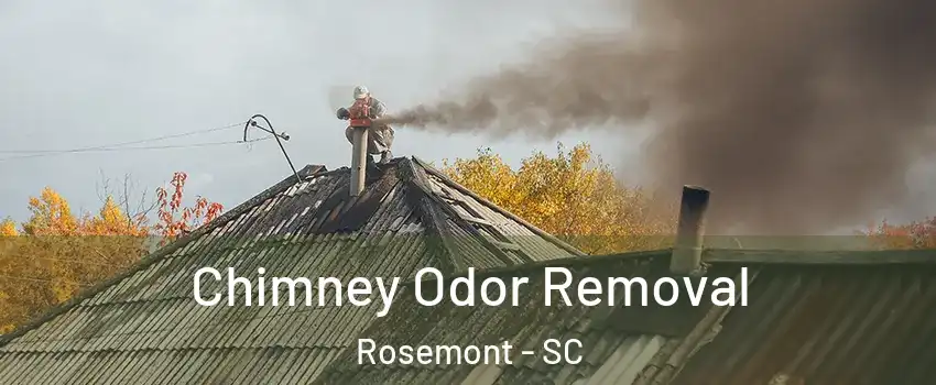 Chimney Odor Removal Rosemont - SC