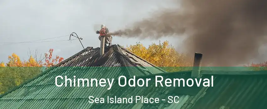 Chimney Odor Removal Sea Island Place - SC