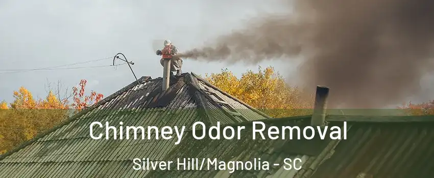 Chimney Odor Removal Silver Hill/Magnolia - SC