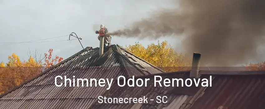 Chimney Odor Removal Stonecreek - SC