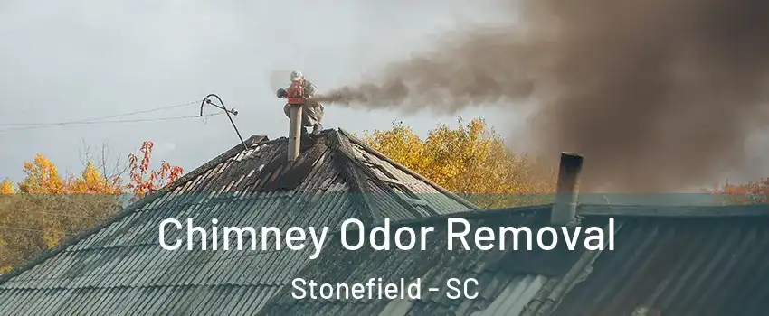 Chimney Odor Removal Stonefield - SC