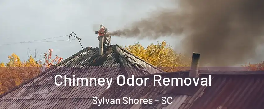 Chimney Odor Removal Sylvan Shores - SC