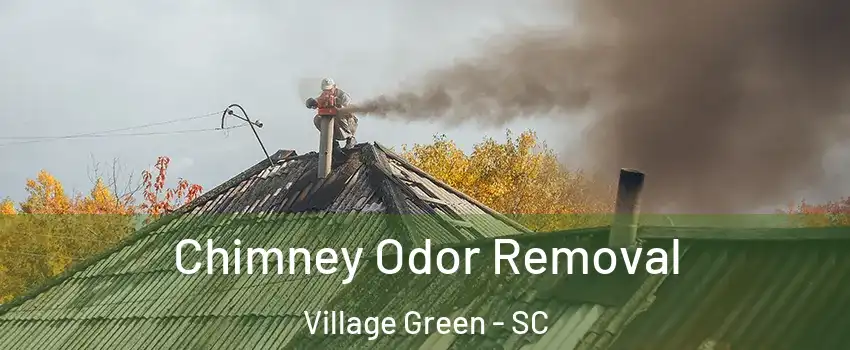 Chimney Odor Removal Village Green - SC