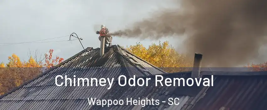 Chimney Odor Removal Wappoo Heights - SC