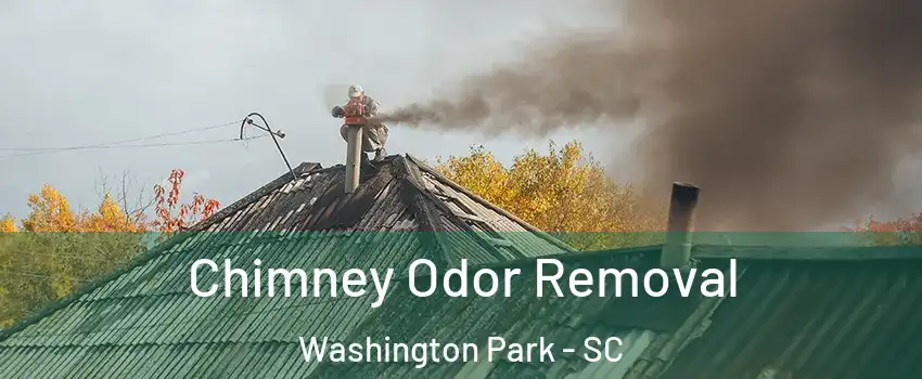 Chimney Odor Removal Washington Park - SC