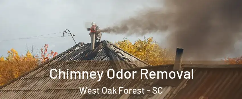 Chimney Odor Removal West Oak Forest - SC