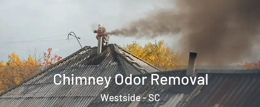 Chimney Odor Removal Westside - SC