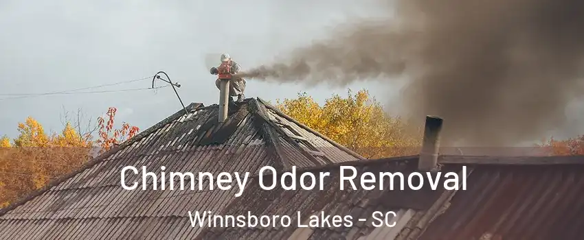 Chimney Odor Removal Winnsboro Lakes - SC