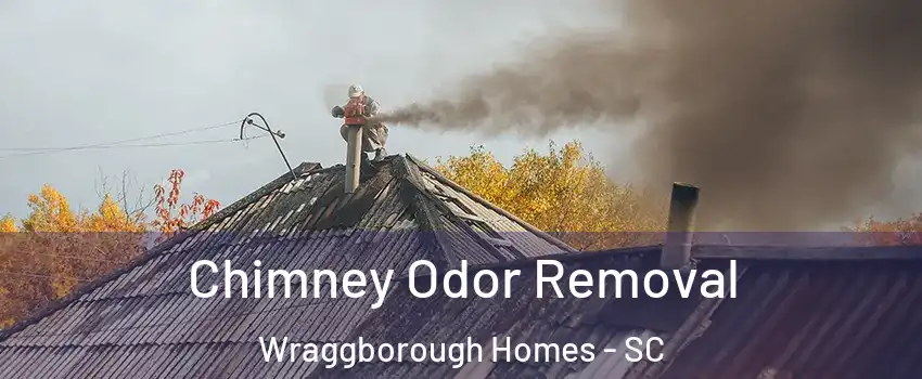 Chimney Odor Removal Wraggborough Homes - SC