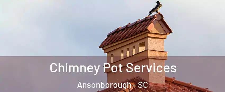 Chimney Pot Services Ansonborough - SC