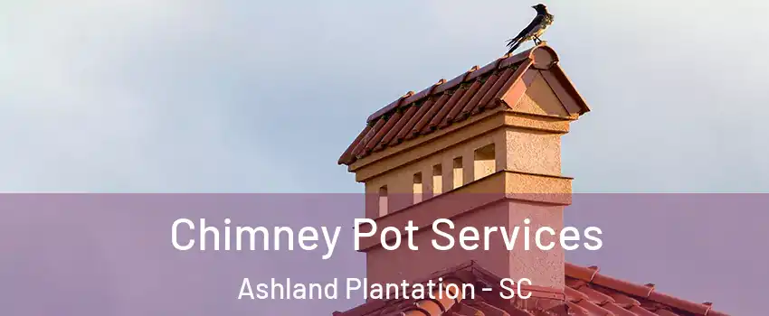 Chimney Pot Services Ashland Plantation - SC