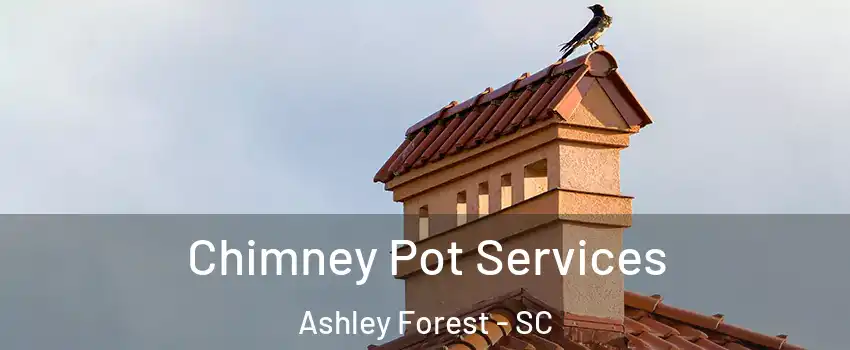 Chimney Pot Services Ashley Forest - SC