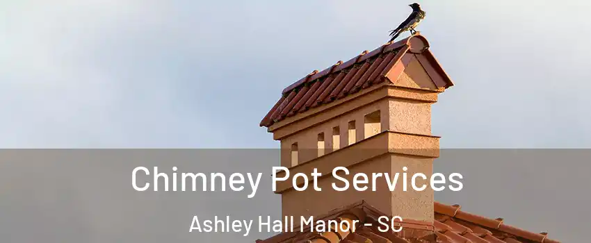 Chimney Pot Services Ashley Hall Manor - SC