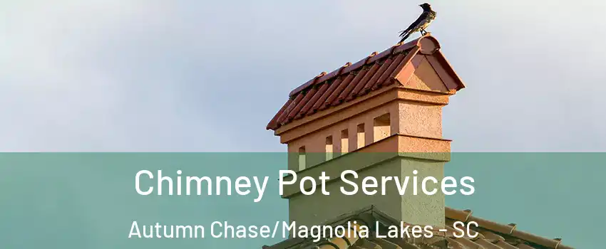 Chimney Pot Services Autumn Chase/Magnolia Lakes - SC