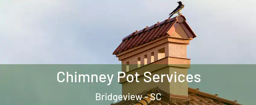 Chimney Pot Services Bridgeview - SC