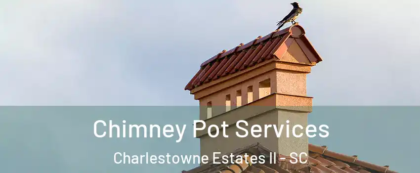 Chimney Pot Services Charlestowne Estates II - SC