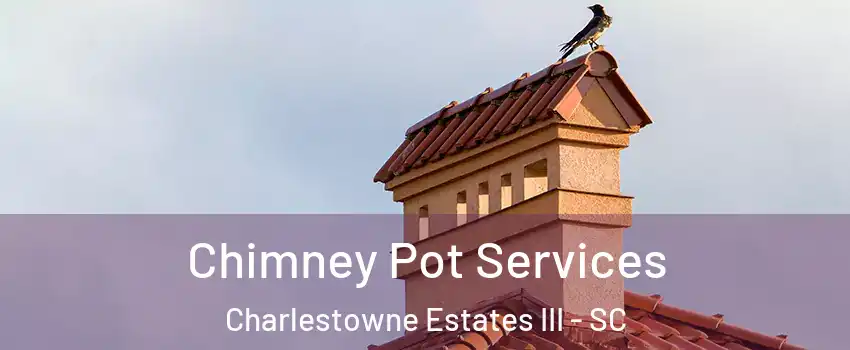 Chimney Pot Services Charlestowne Estates III - SC