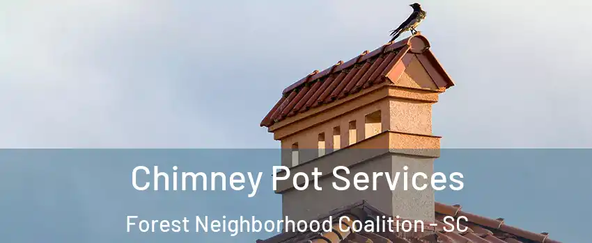 Chimney Pot Services Forest Neighborhood Coalition - SC