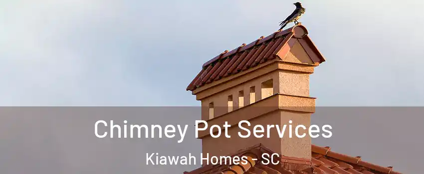 Chimney Pot Services Kiawah Homes - SC