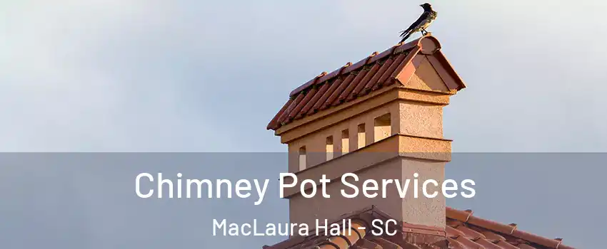 Chimney Pot Services MacLaura Hall - SC