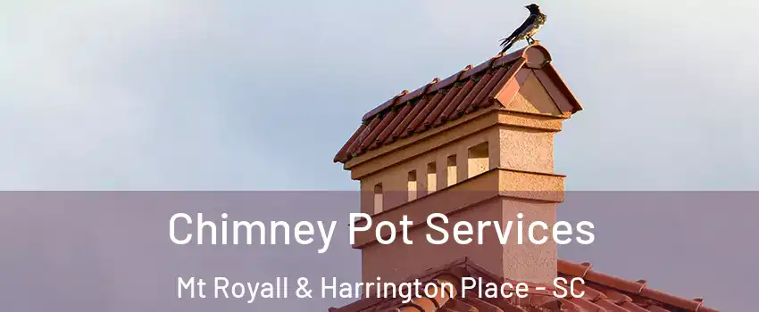 Chimney Pot Services Mt Royall & Harrington Place - SC