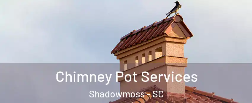 Chimney Pot Services Shadowmoss - SC