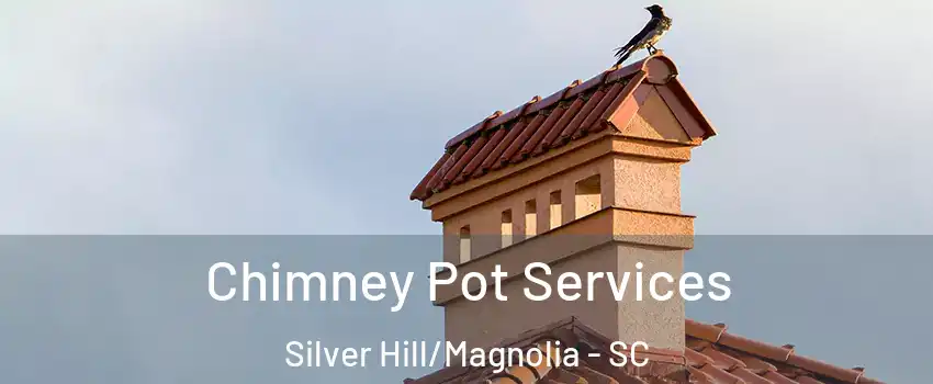 Chimney Pot Services Silver Hill/Magnolia - SC