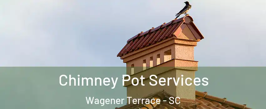 Chimney Pot Services Wagener Terrace - SC