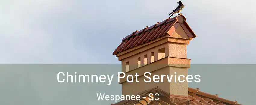 Chimney Pot Services Wespanee - SC