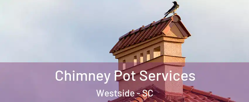 Chimney Pot Services Westside - SC