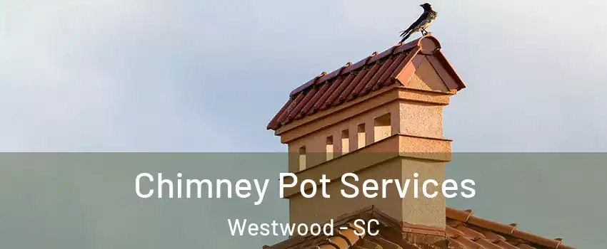 Chimney Pot Services Westwood - SC