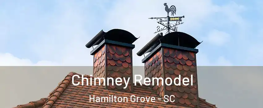 Chimney Remodel Hamilton Grove - SC