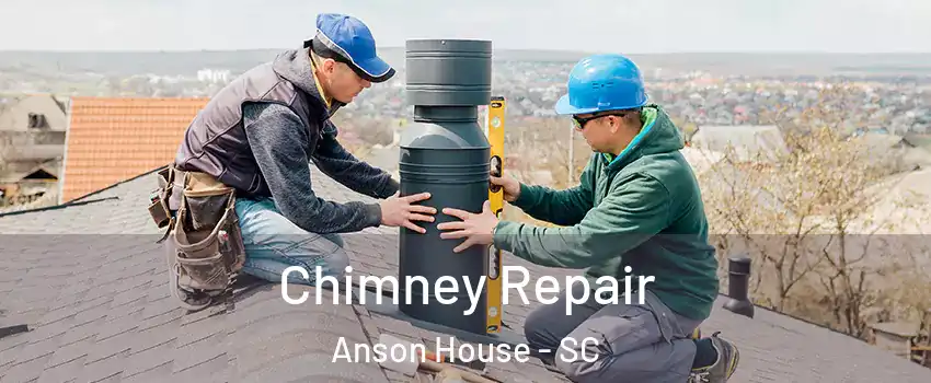 Chimney Repair Anson House - SC