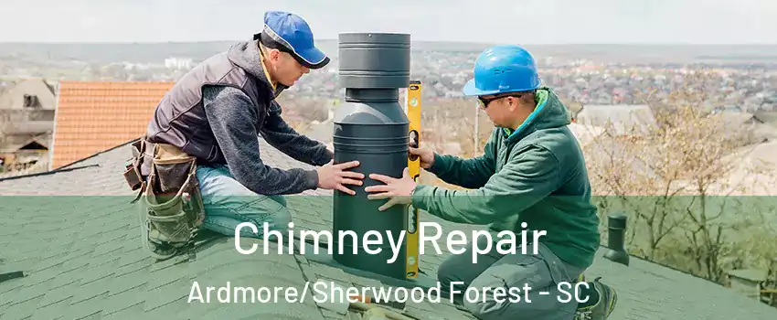 Chimney Repair Ardmore/Sherwood Forest - SC