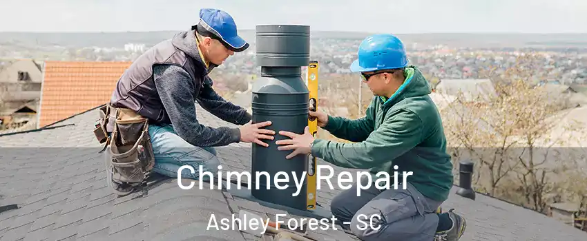 Chimney Repair Ashley Forest - SC