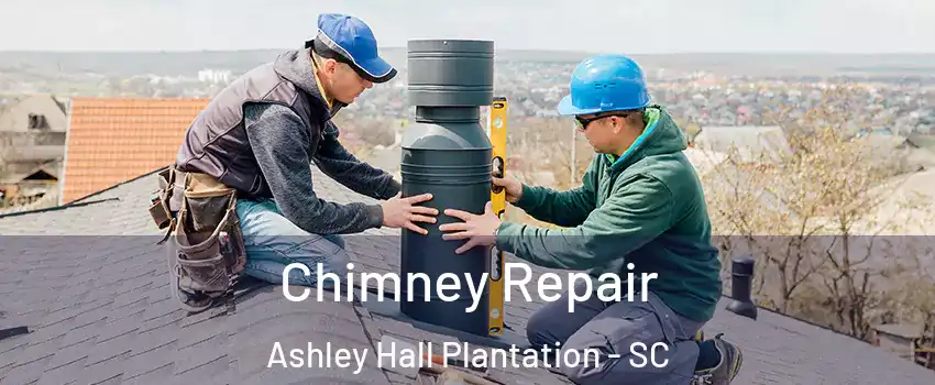 Chimney Repair Ashley Hall Plantation - SC