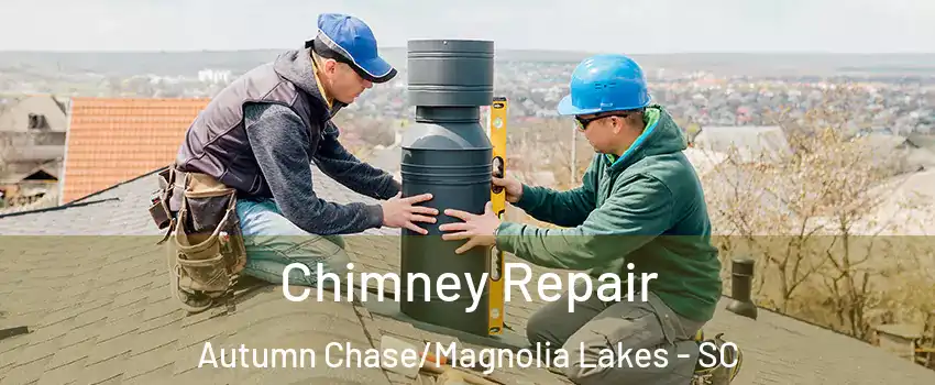 Chimney Repair Autumn Chase/Magnolia Lakes - SC