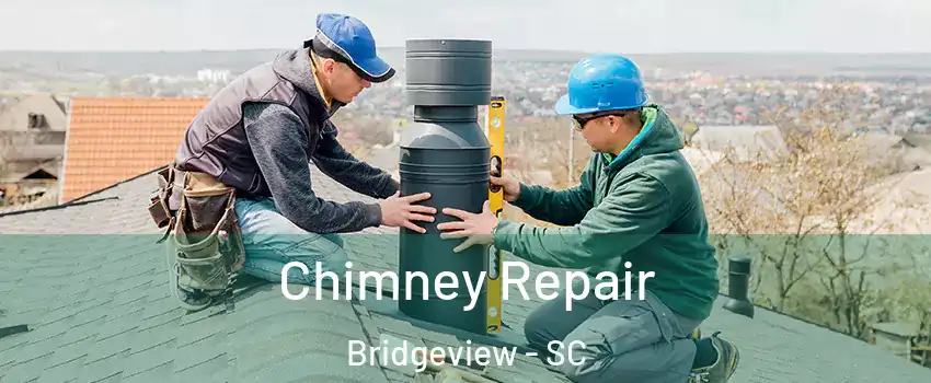 Chimney Repair Bridgeview - SC