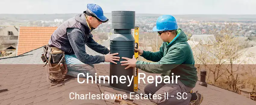 Chimney Repair Charlestowne Estates II - SC