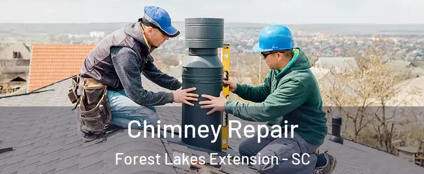 Chimney Repair Forest Lakes Extension - SC