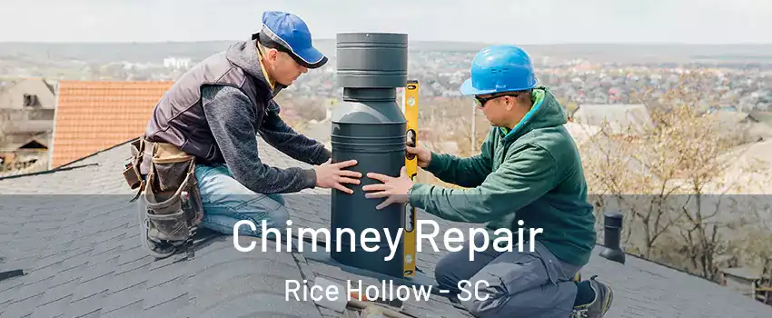 Chimney Repair Rice Hollow - SC