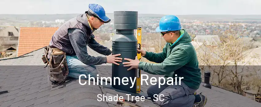 Chimney Repair Shade Tree - SC