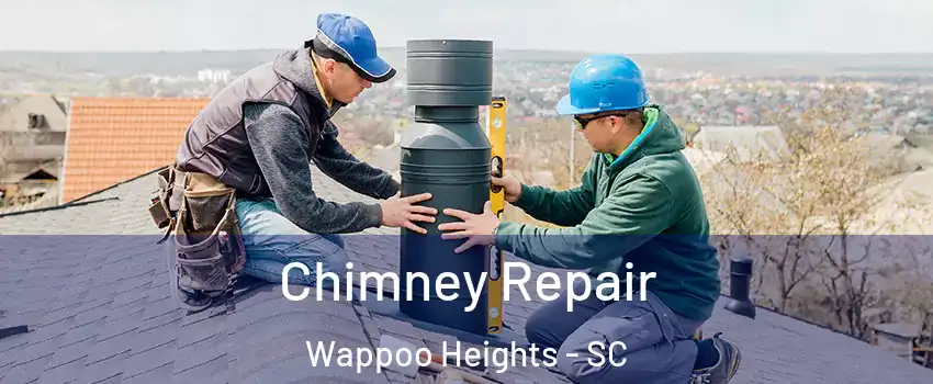 Chimney Repair Wappoo Heights - SC