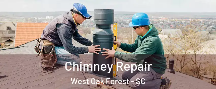 Chimney Repair West Oak Forest - SC