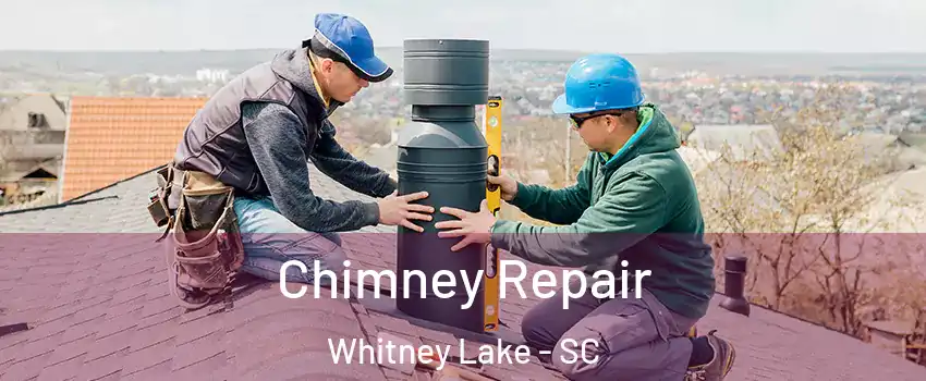 Chimney Repair Whitney Lake - SC