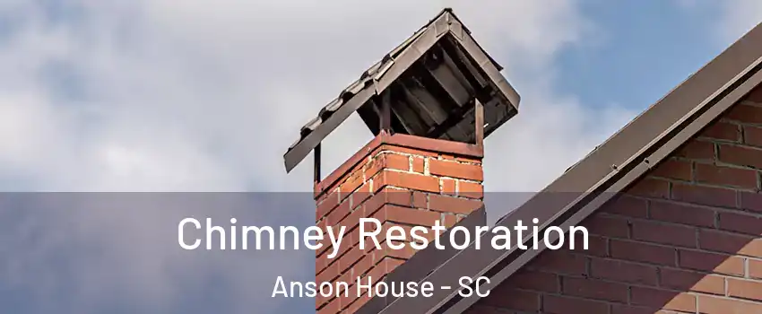 Chimney Restoration Anson House - SC